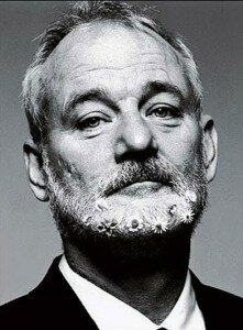 Bill-Murray